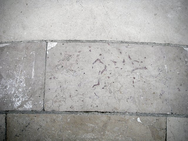 IMGP1472