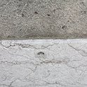 IMG_1078_DxO.jpg