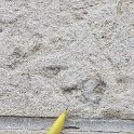 IMG_1103_DxO.jpg